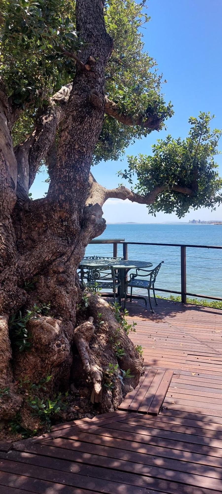 Villa Driftwood Gordons Bay